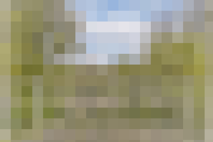 Image 23