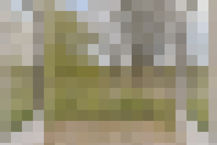 Image 39