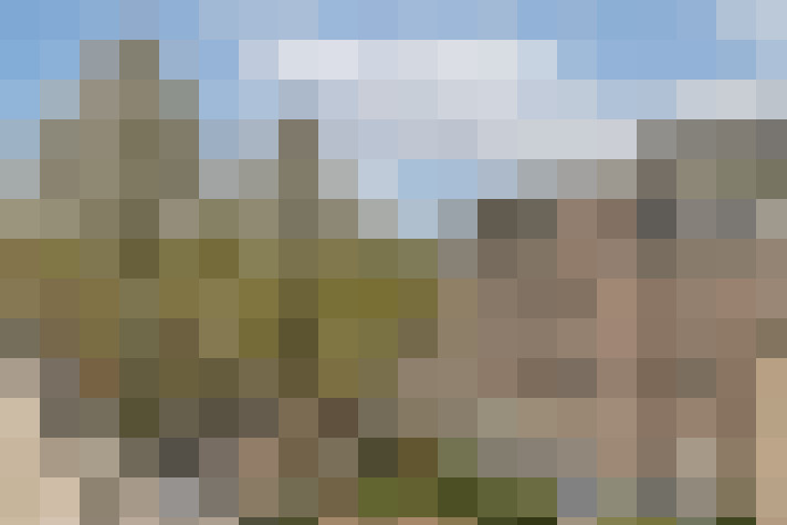 Image 16