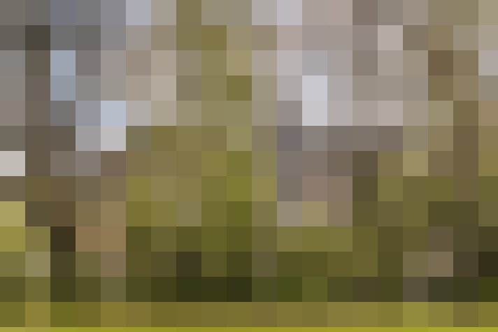 Image 49