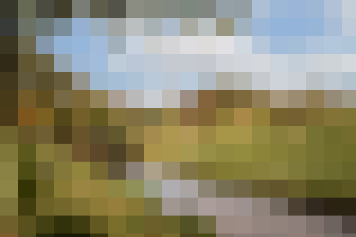 Image 53