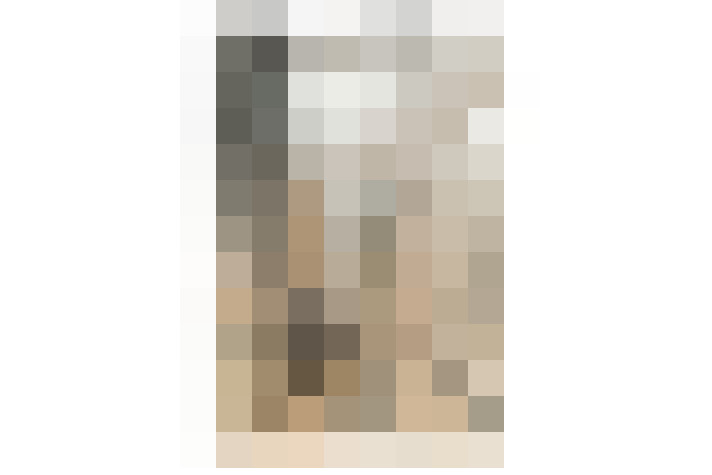 Image 41