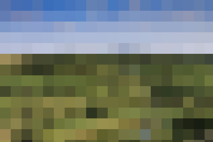 Image 39