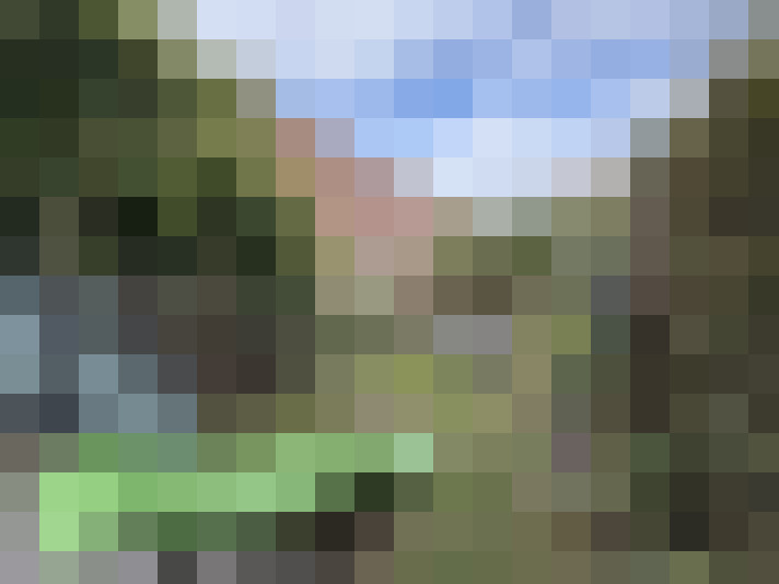Image 32