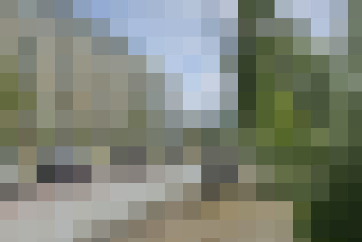 Image 23