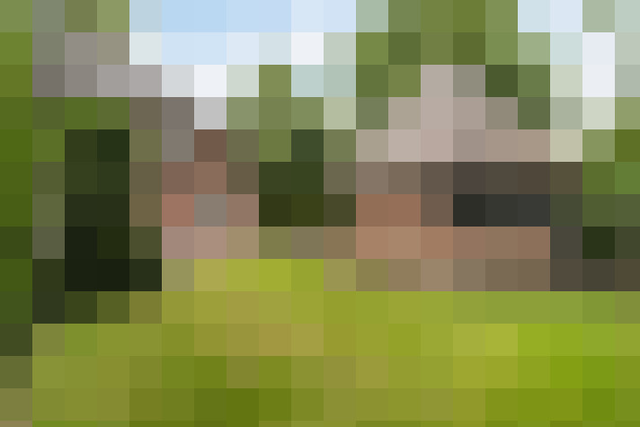 Image 36