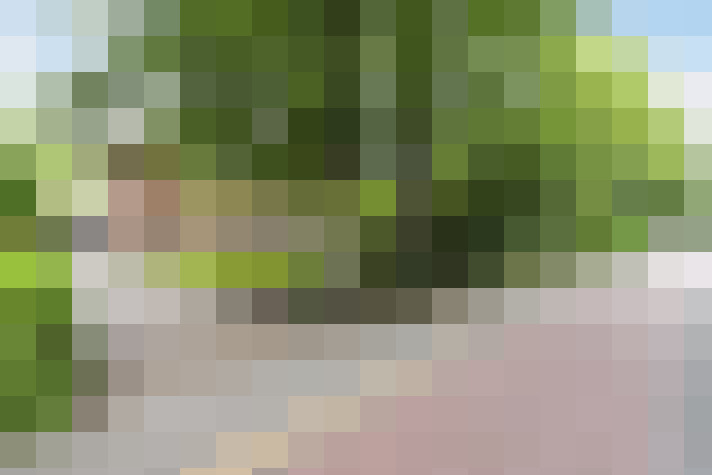 Image 42