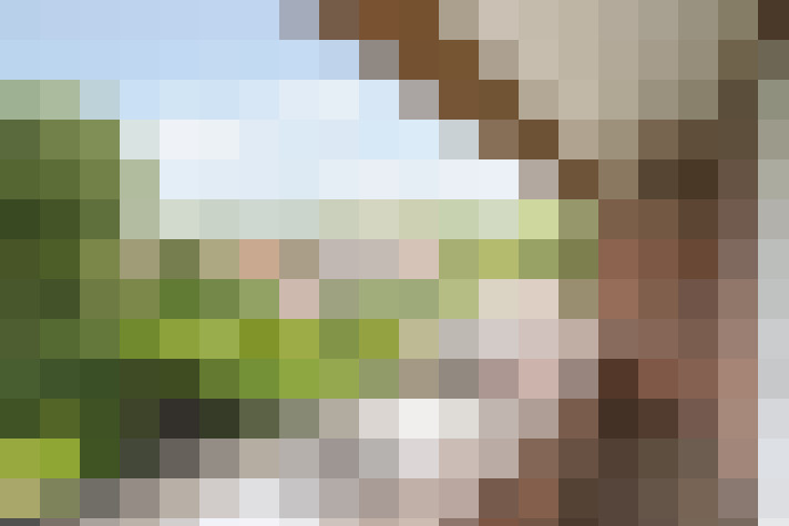 Image 35