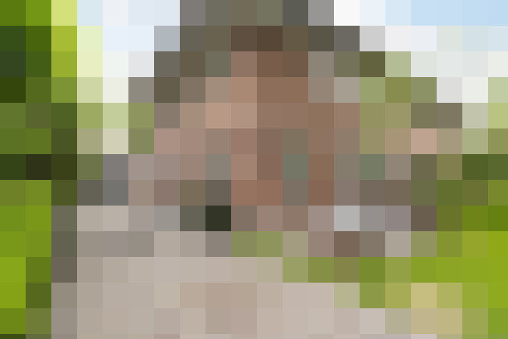 Image 37