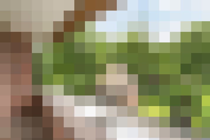 Image 34
