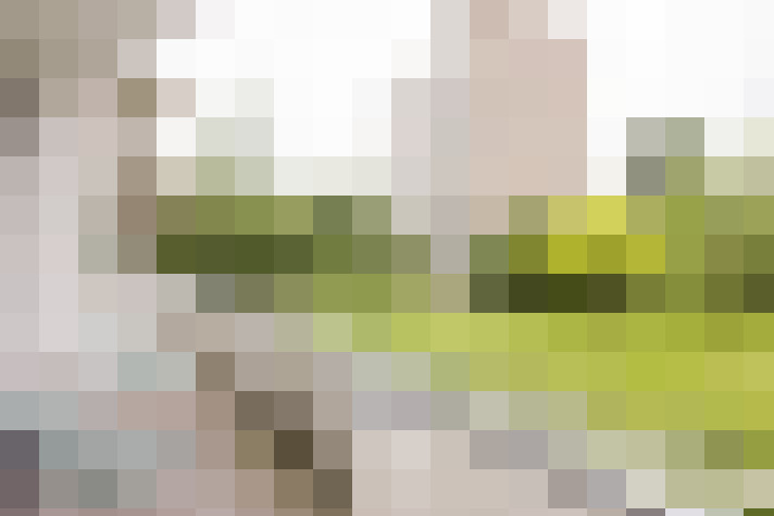Image 25