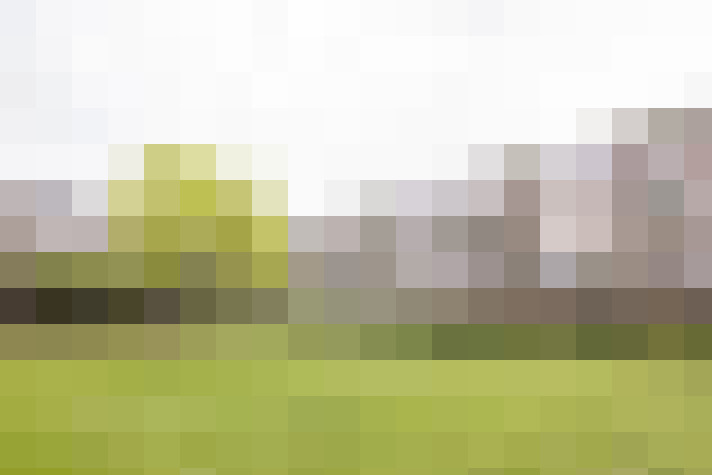 Image 27