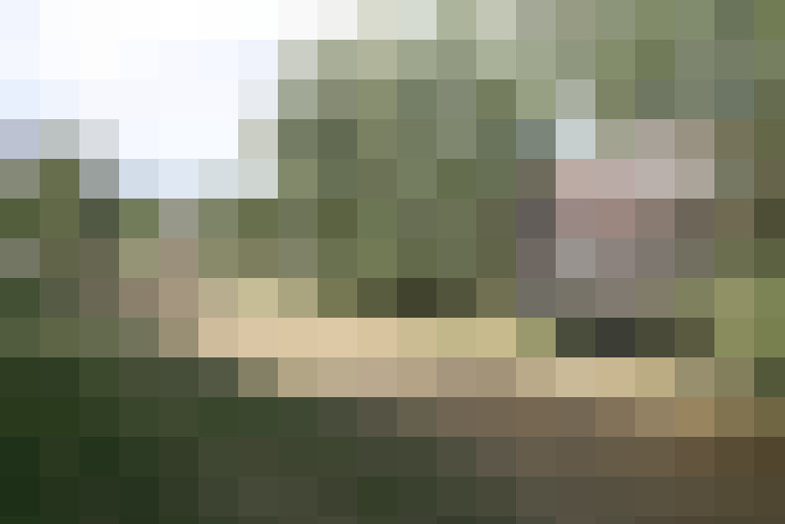 Image 25