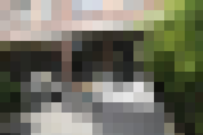 Image 29