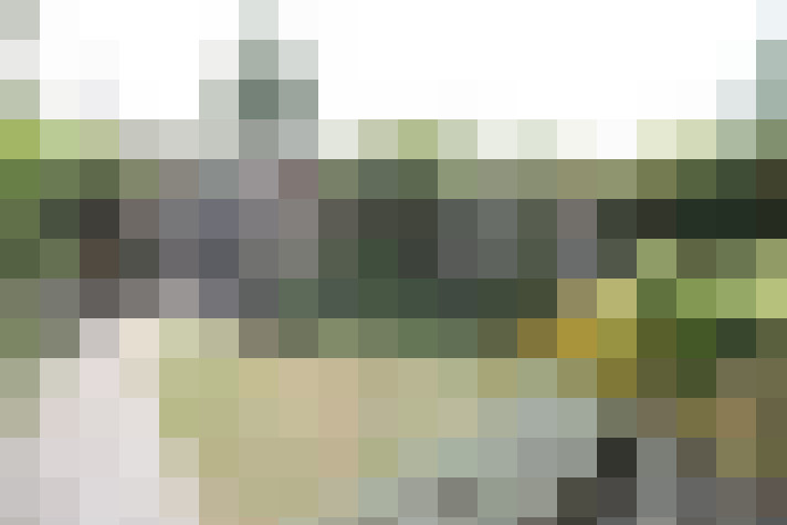 Image 30