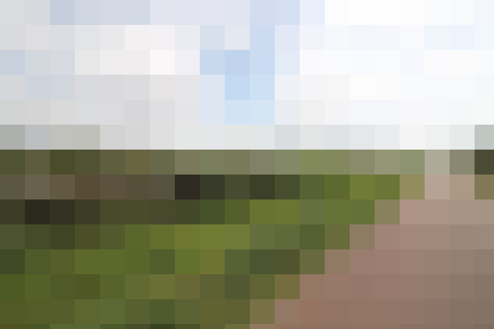 Image 23