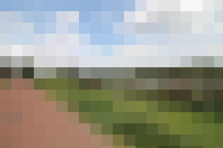 Image 22