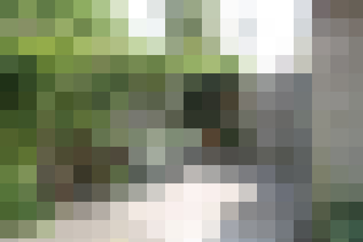 Image 31