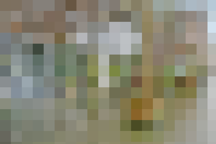 Image 23