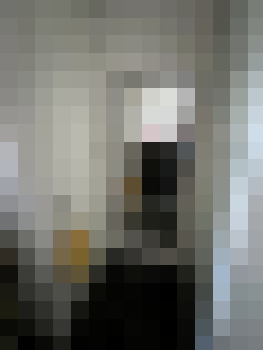 Image 28