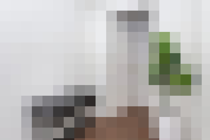 Image 22