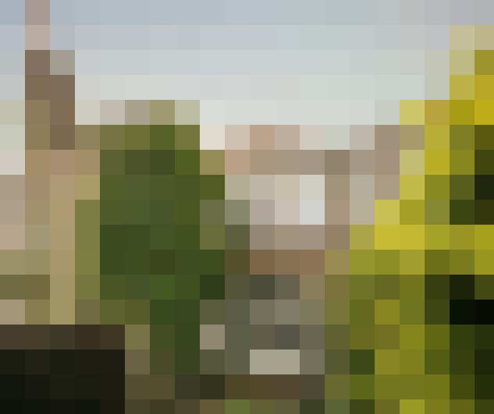 Image 45