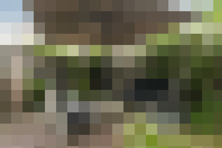 Image 44