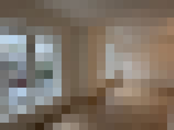 Image 22