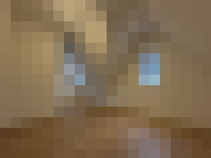 Image 29