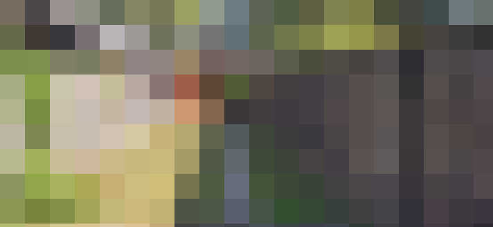 Image 46