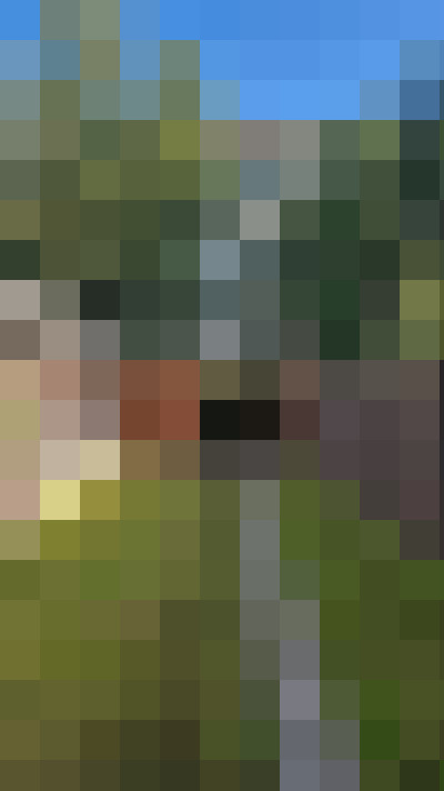 Image 47