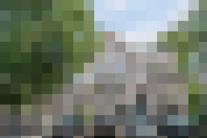 Image 23