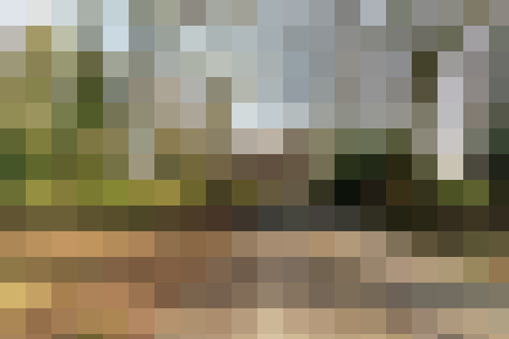 Image 31