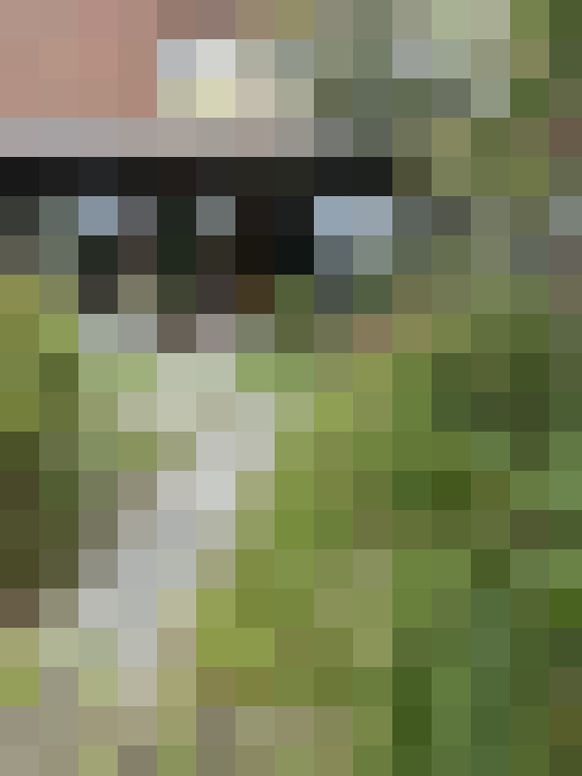 Image 31