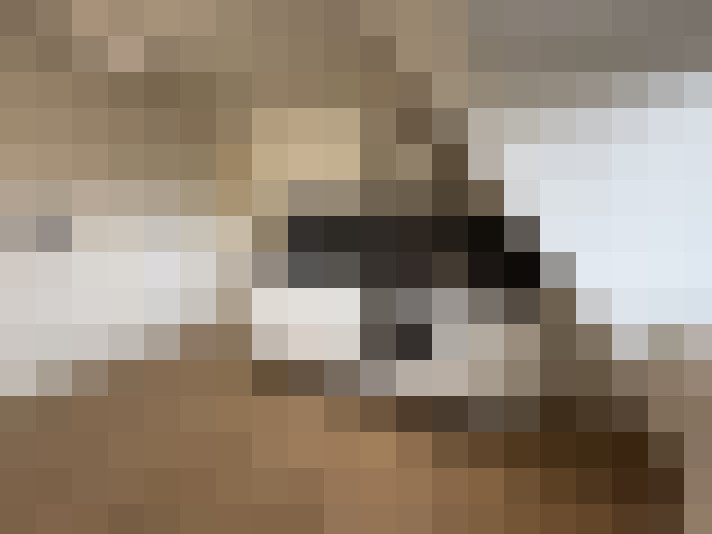 Image 33