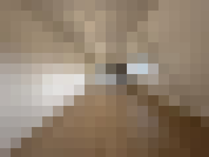 Image 29