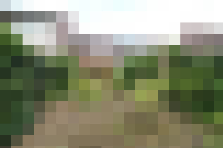 Image 27