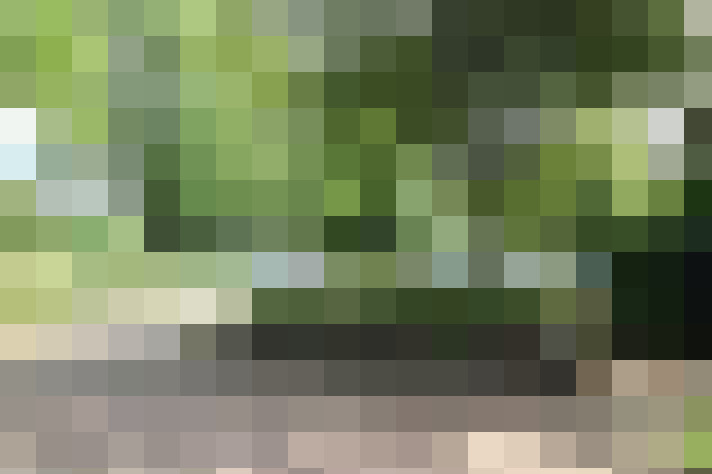 Image 28