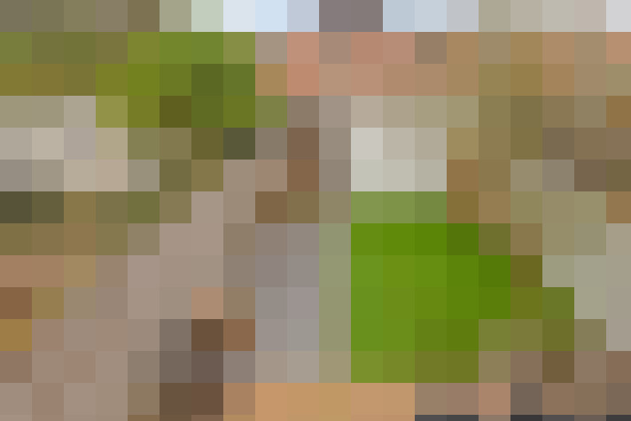 Image 28
