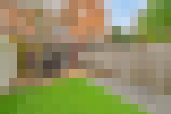 Image 30