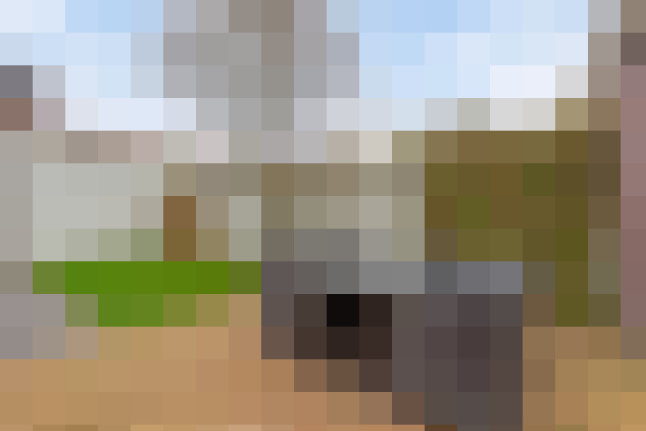 Image 29