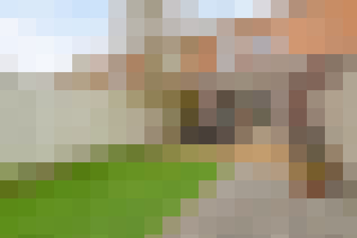 Image 31