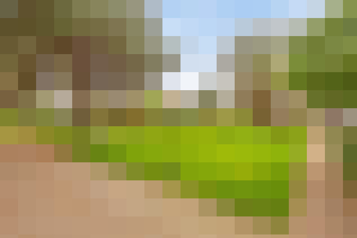 Image 34