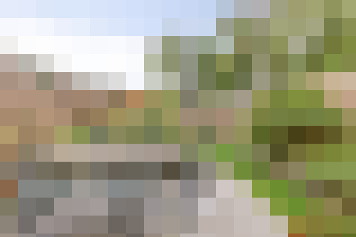 Image 13