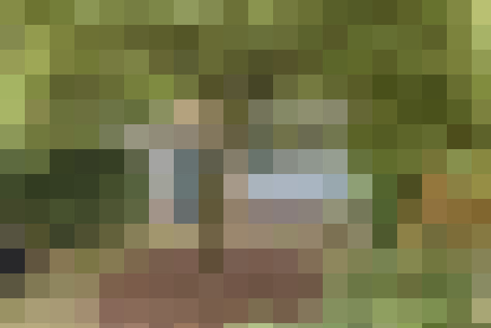 Image 33
