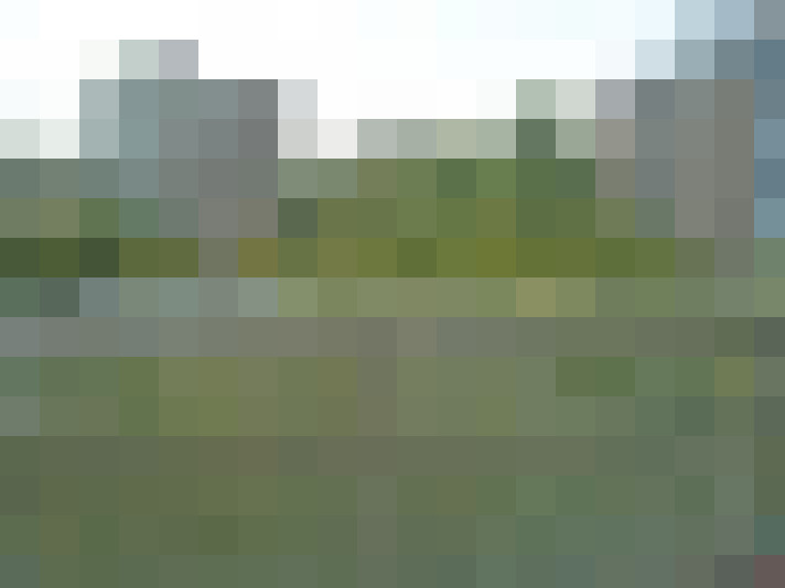 Image 20