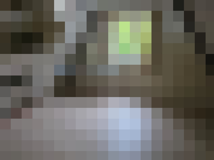 Image 15
