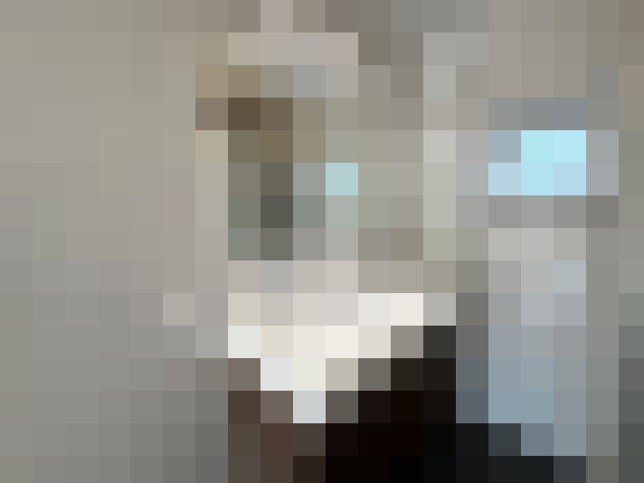 Image 17