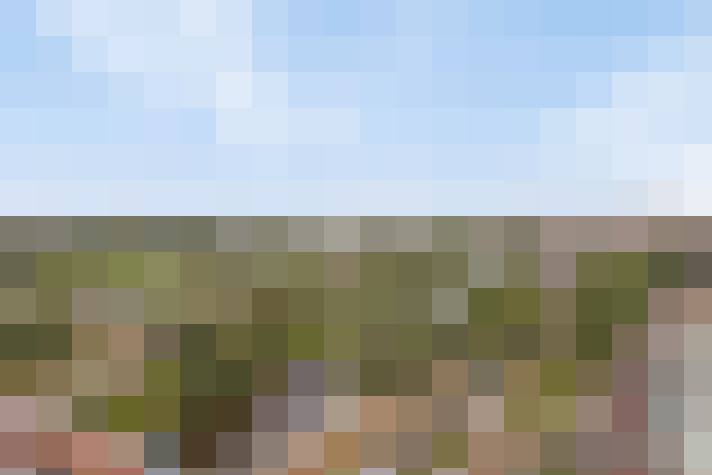 Image 23