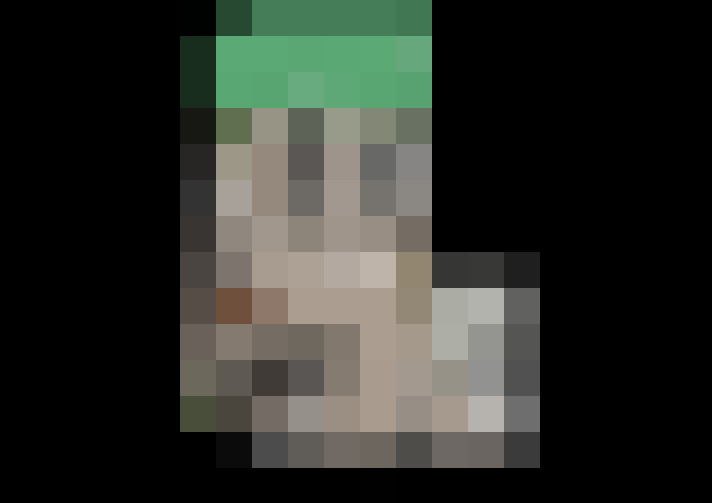Image 28